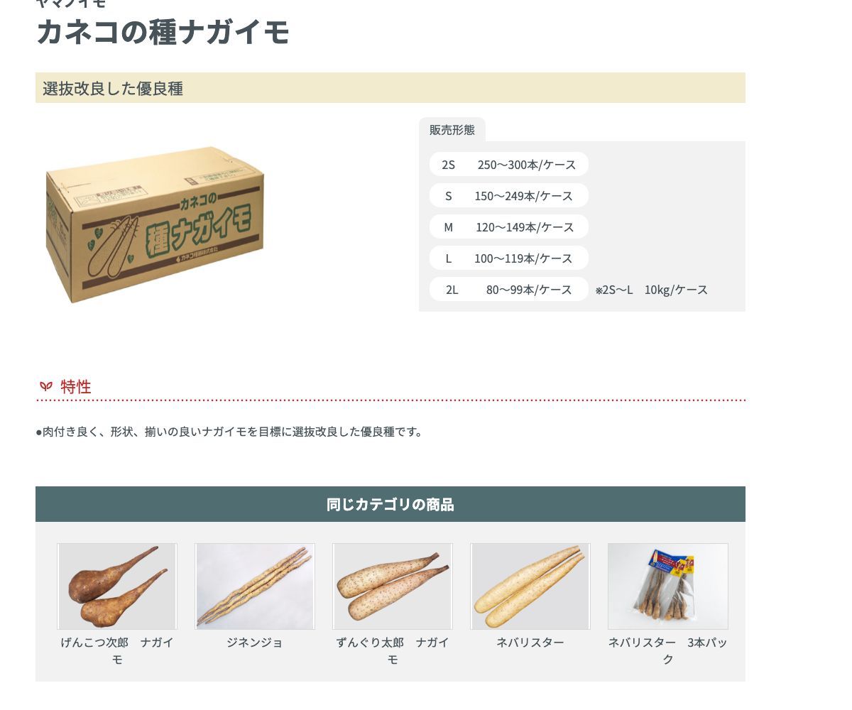 カネコの種ナガイモ