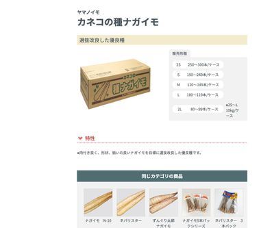 カネコの種ナガイモの画像