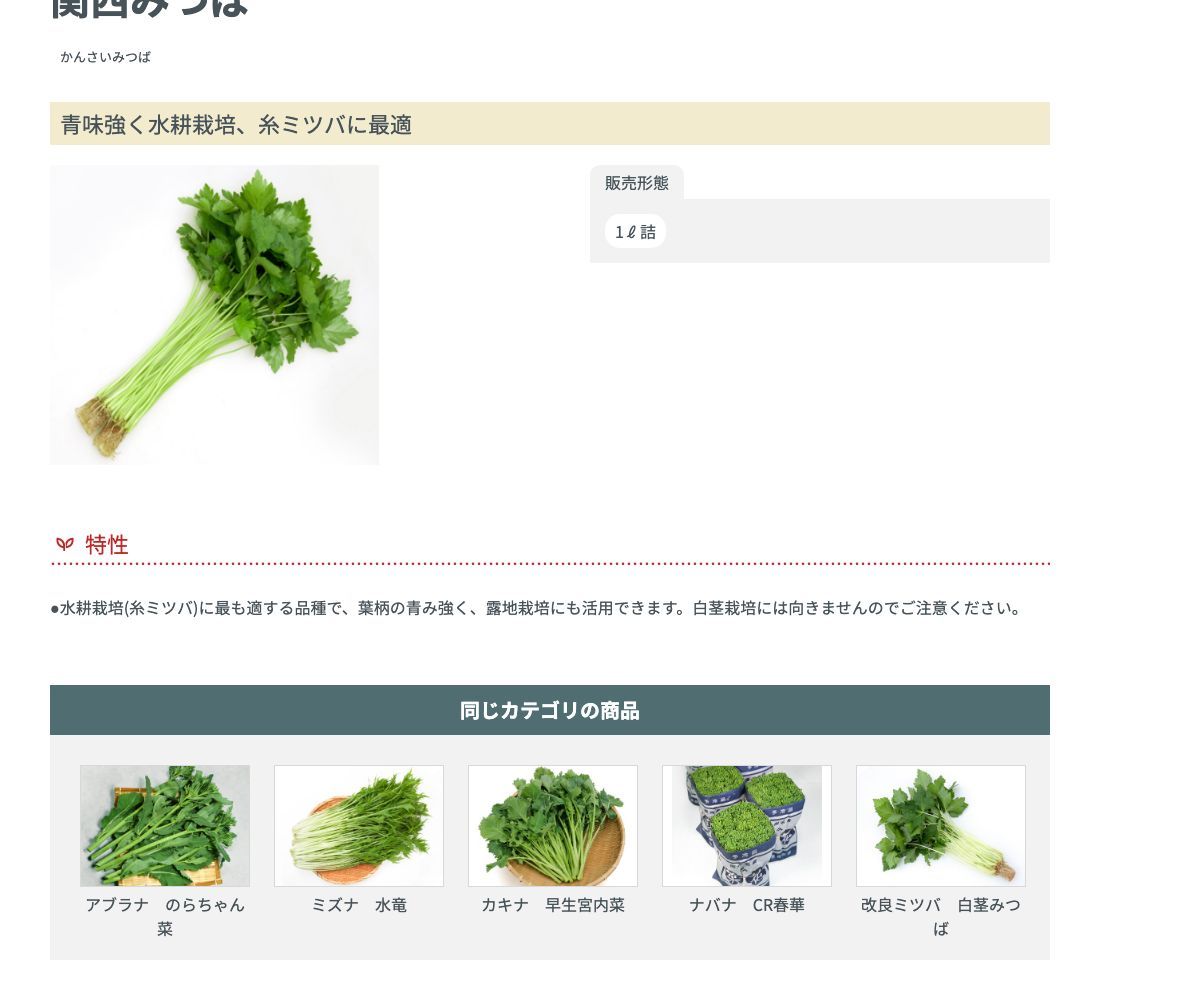 改良ミツバ 関西みつば