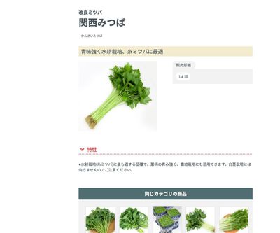 改良ミツバ 関西みつばの画像