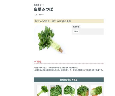 改良ミツバ 白茎みつばの画像