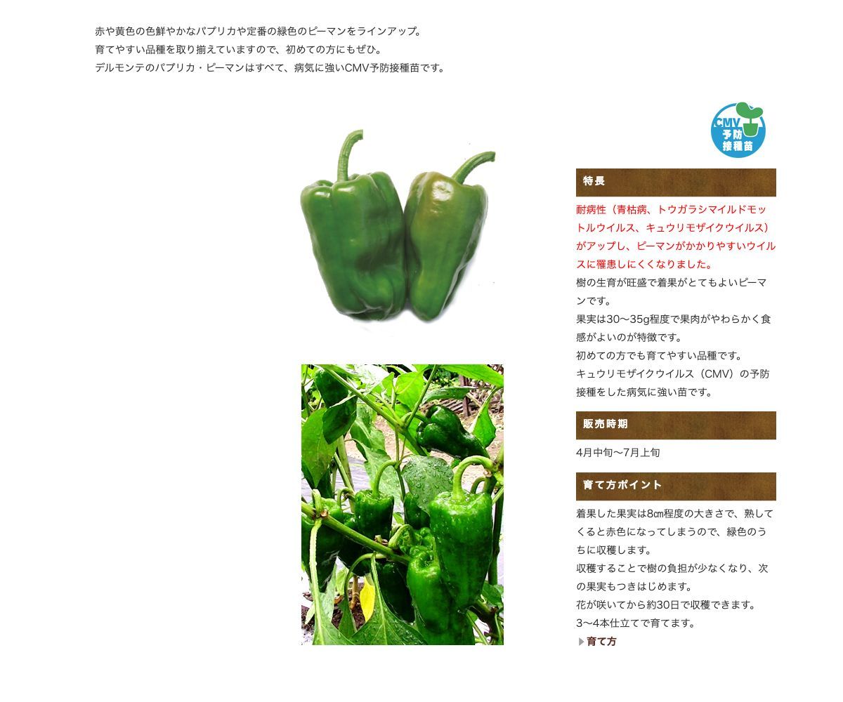 ガブリエル 赤