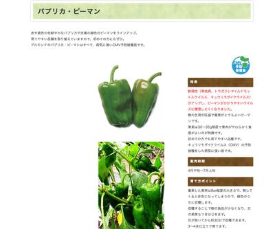 ガブリエル 赤の画像