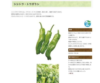 ピリ辛韓国とうがらしの画像