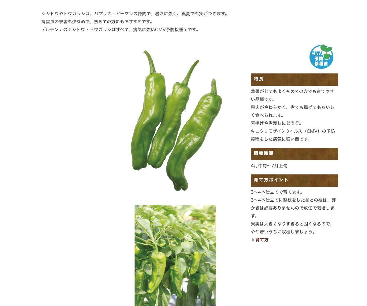 激辛韓国とうがらし