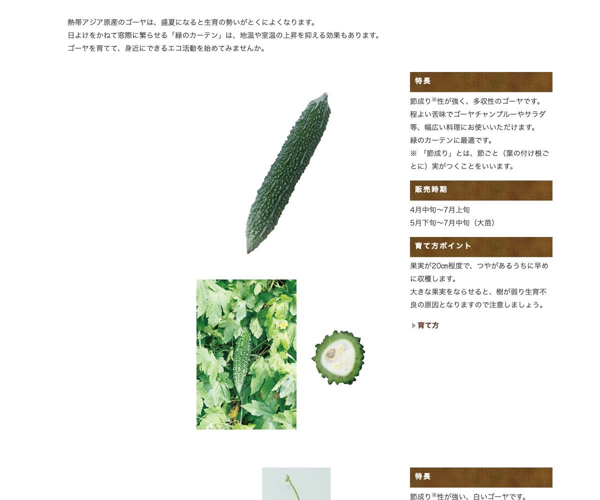 スーパーゴーヤ 白