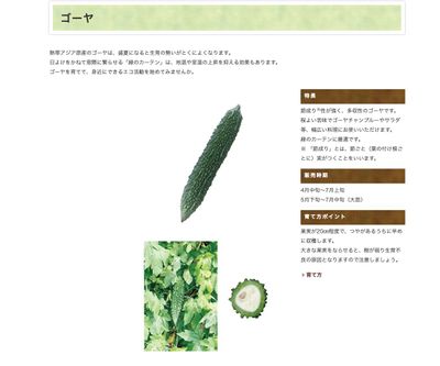 スーパーゴーヤ 白の画像