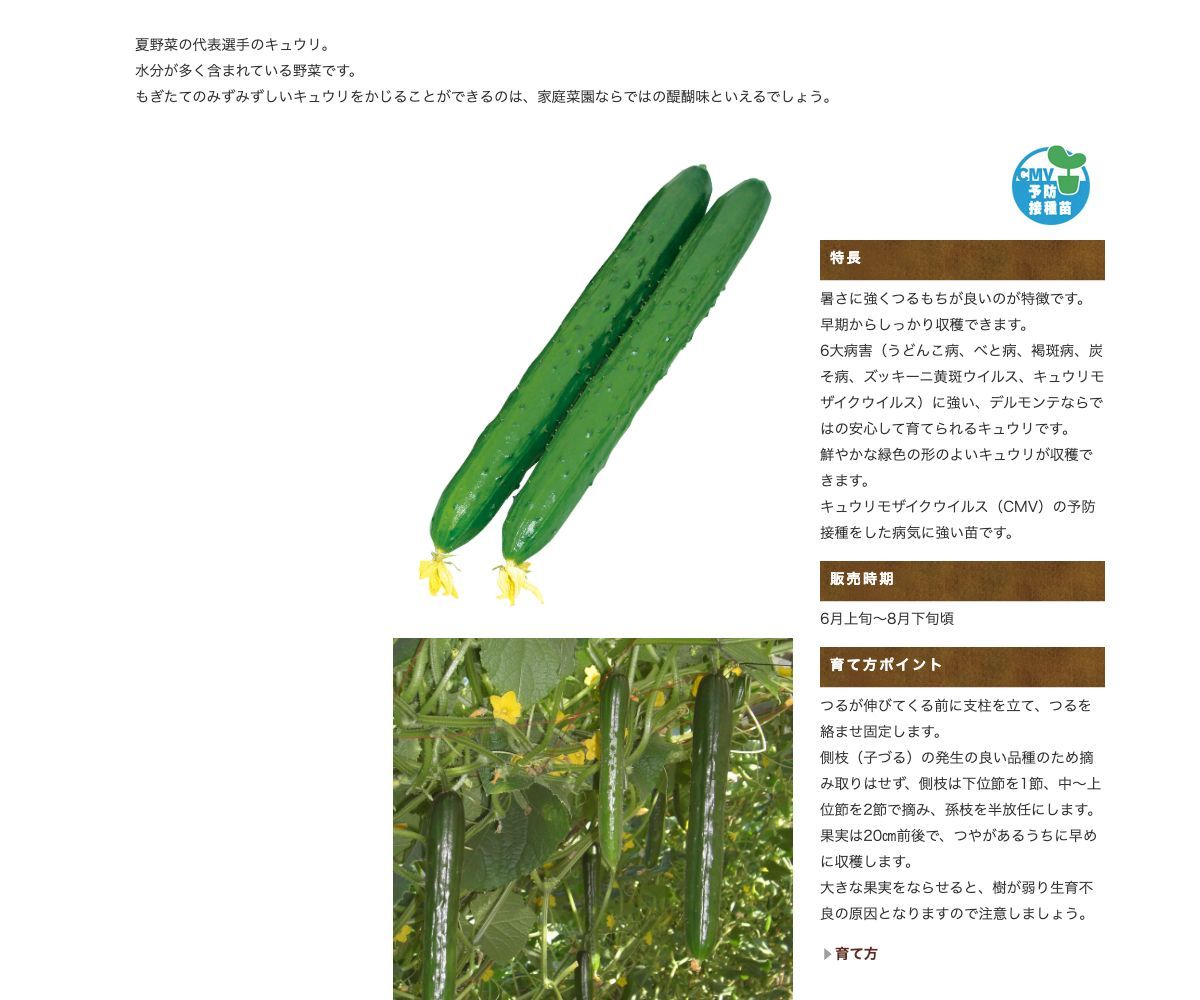 夏うえスーパーキュウリ つよっしー®