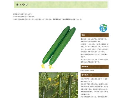 夏うえスーパーキュウリ つよっしー®の画像
