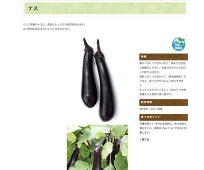 やさし～い太長ナスの画像