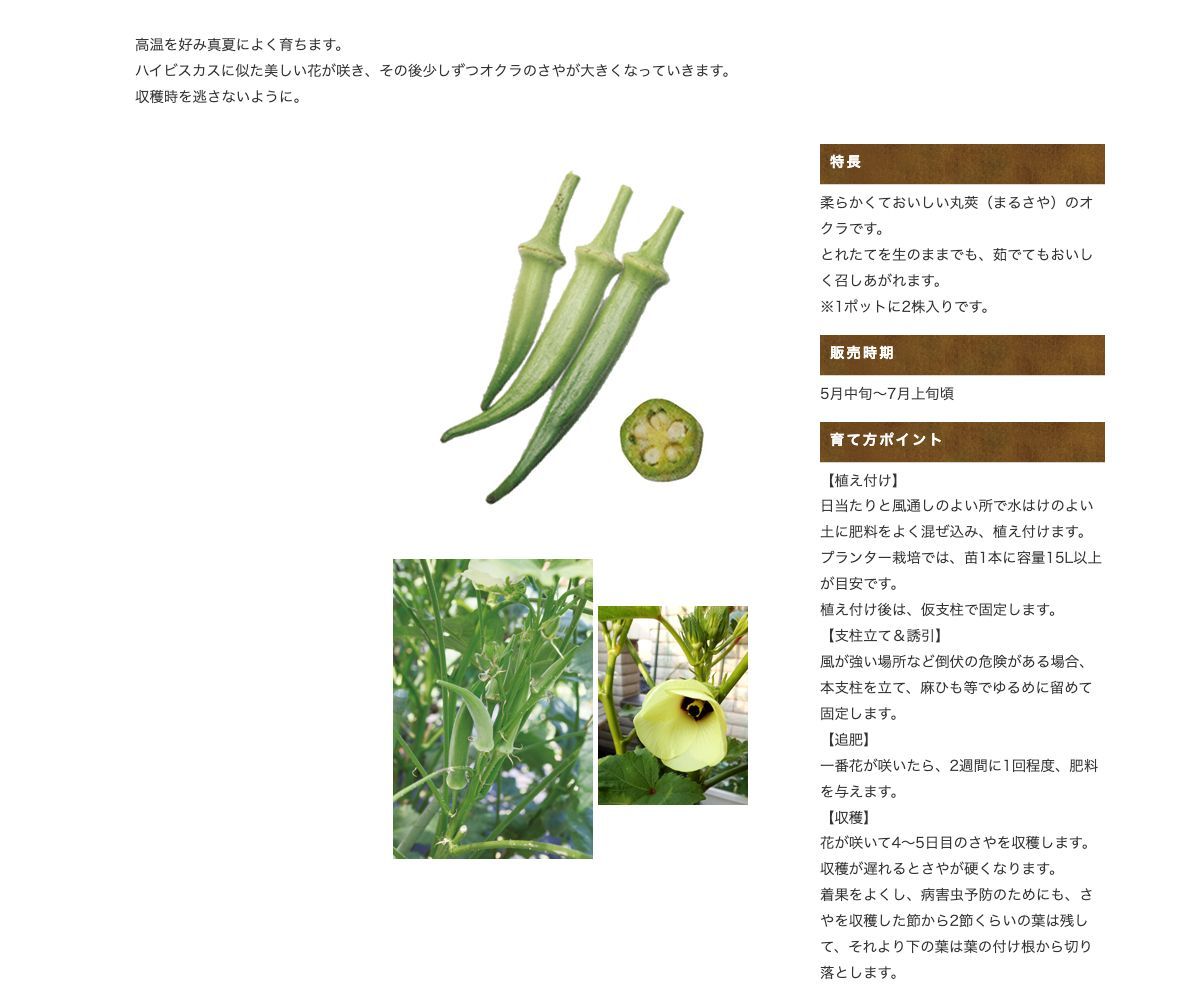 まるさやオクラ