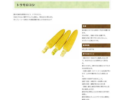 キャンディホワイトの画像