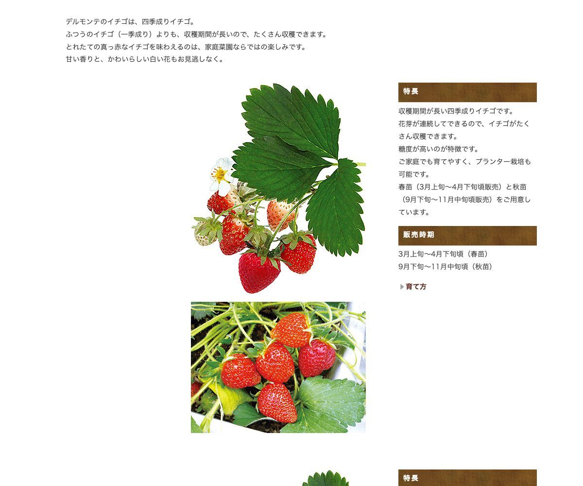 めちゃウマッ!いちご
