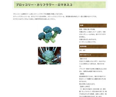 ビギナーズ®スティックブロッコリーの画像