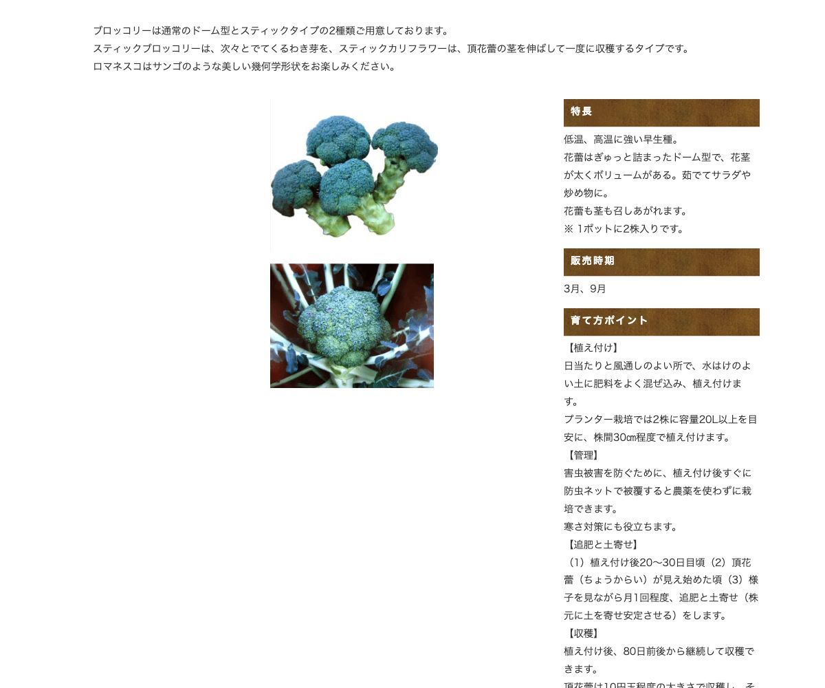 ビギナーズ®スティックカリフラワー