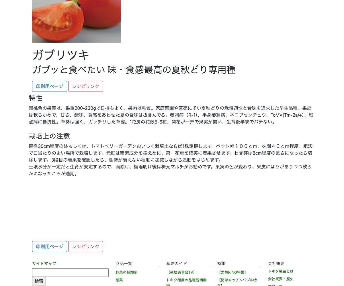 ガブリツキ