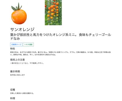 サンオレンジの画像