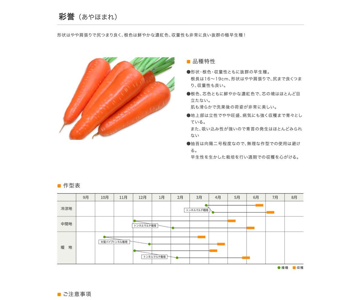 彩誉(あやほまれ)