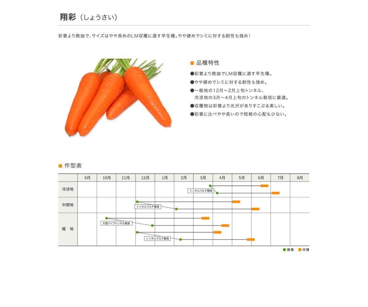 翔彩(しょうさい)