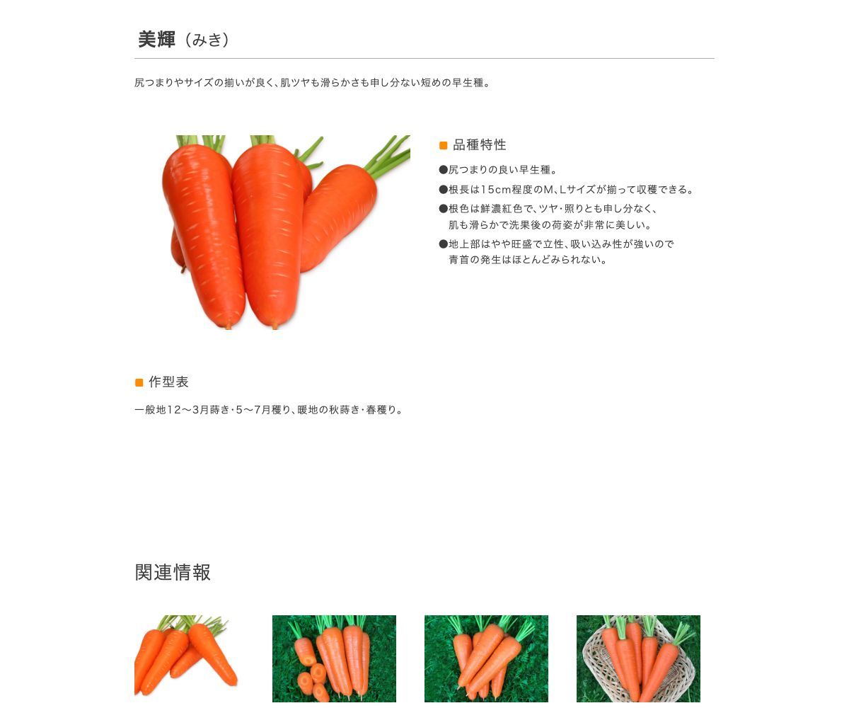 美輝(みき)