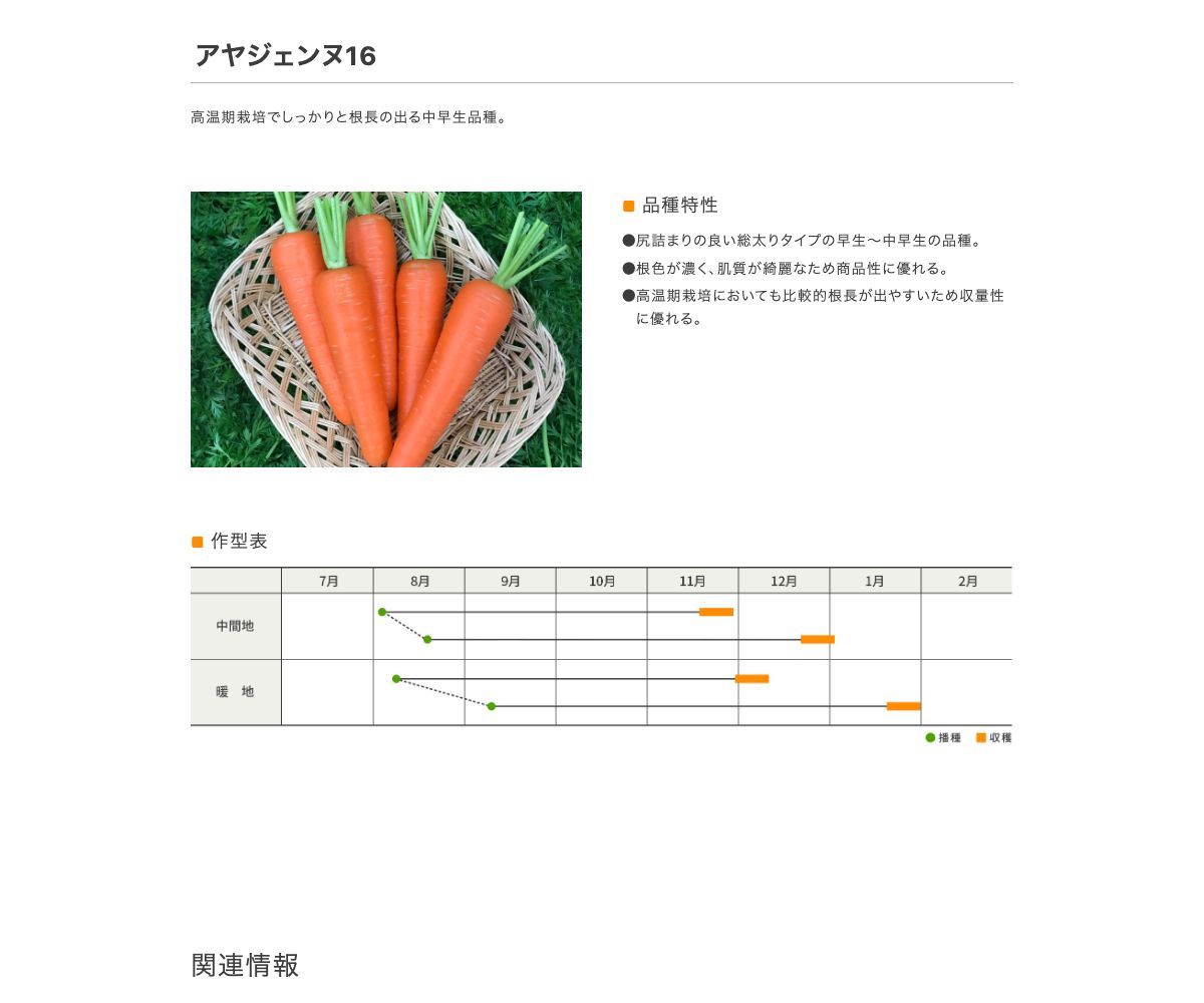 アヤジェンヌ16