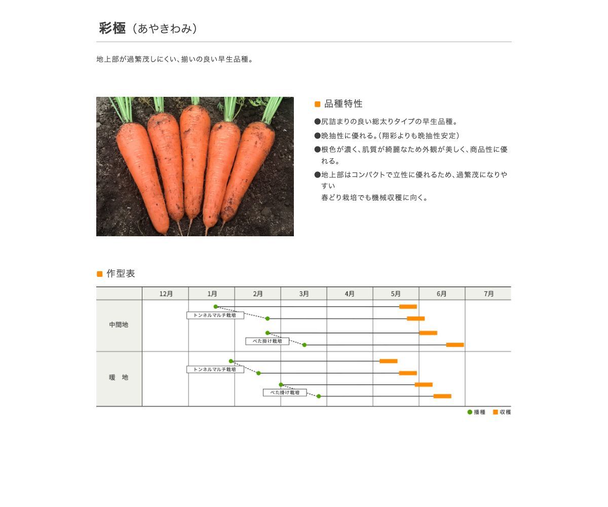 彩極(あやきわみ)