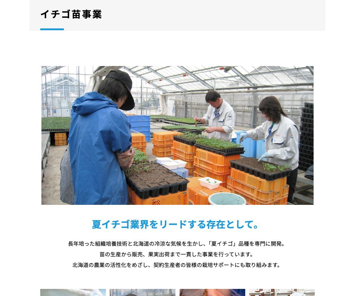 ペチカピュア