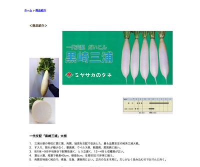 黒崎三浦の画像