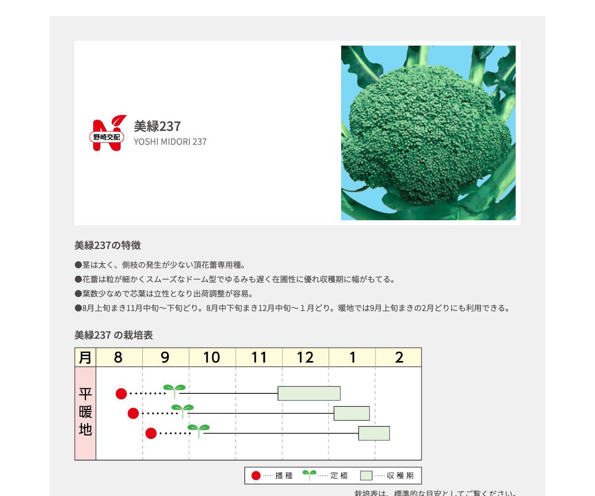 美緑237