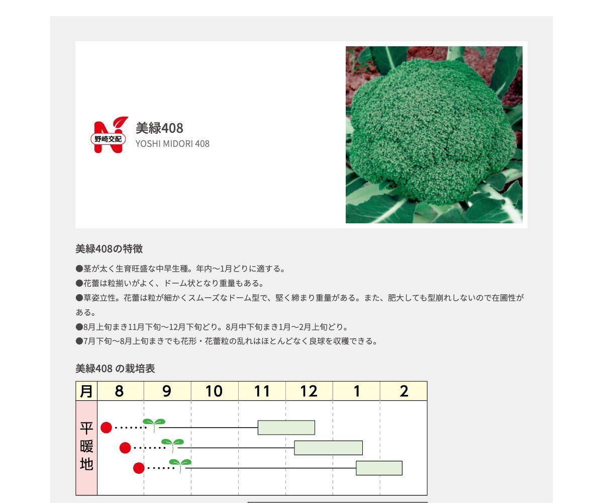 美緑408