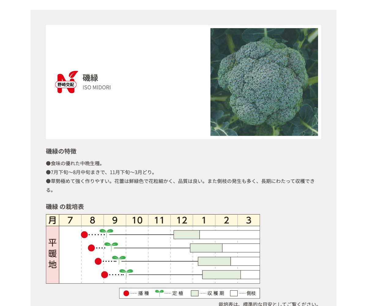 磯緑