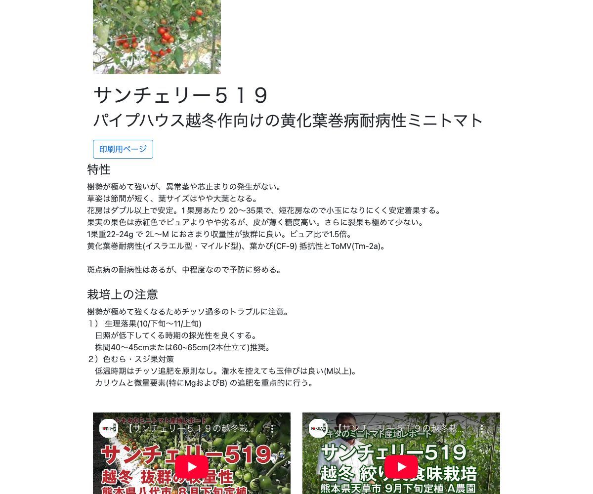 サンチェリー519