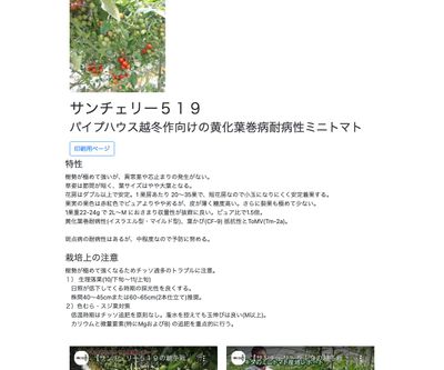 サンチェリー５１９