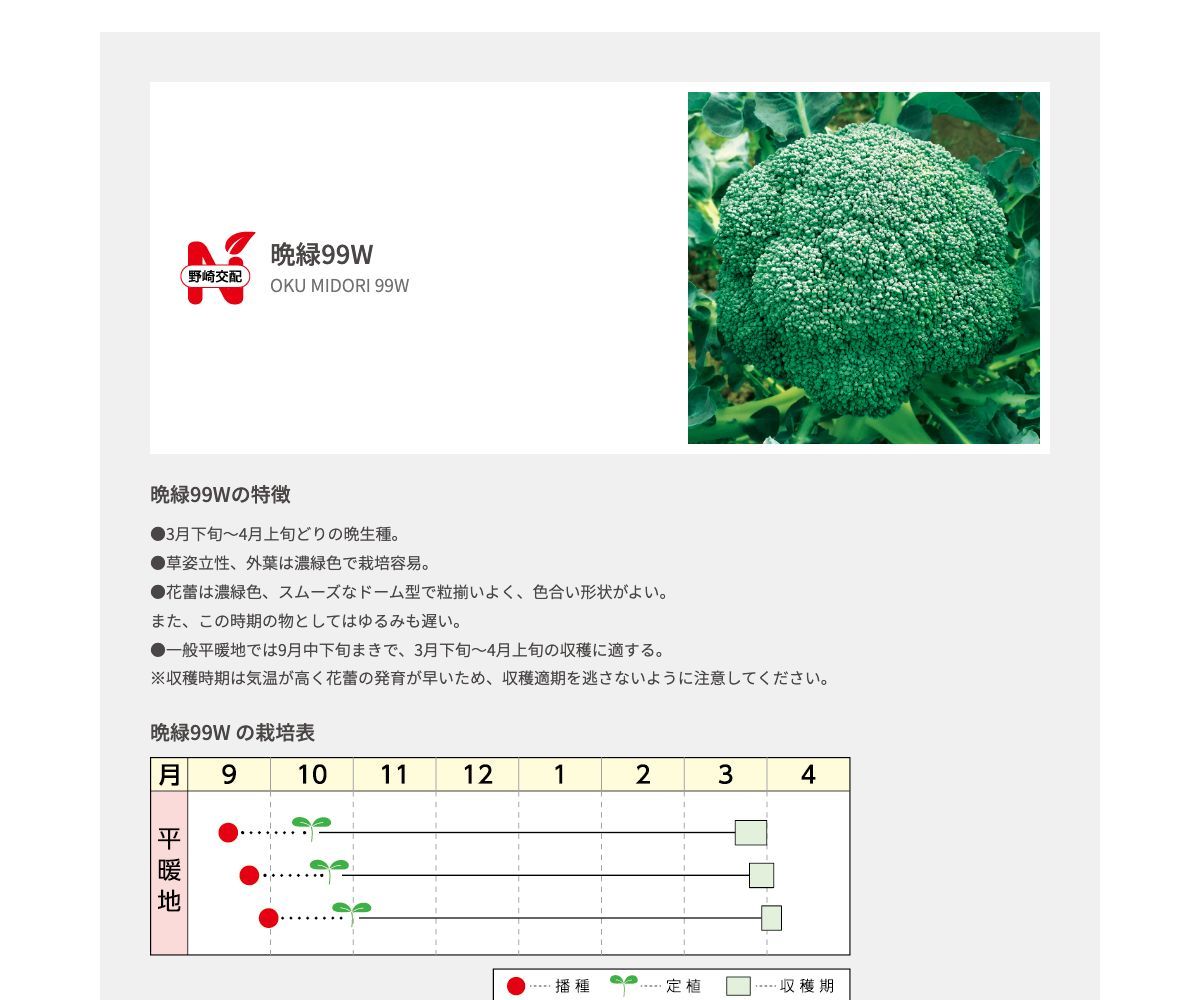 晩緑99W
