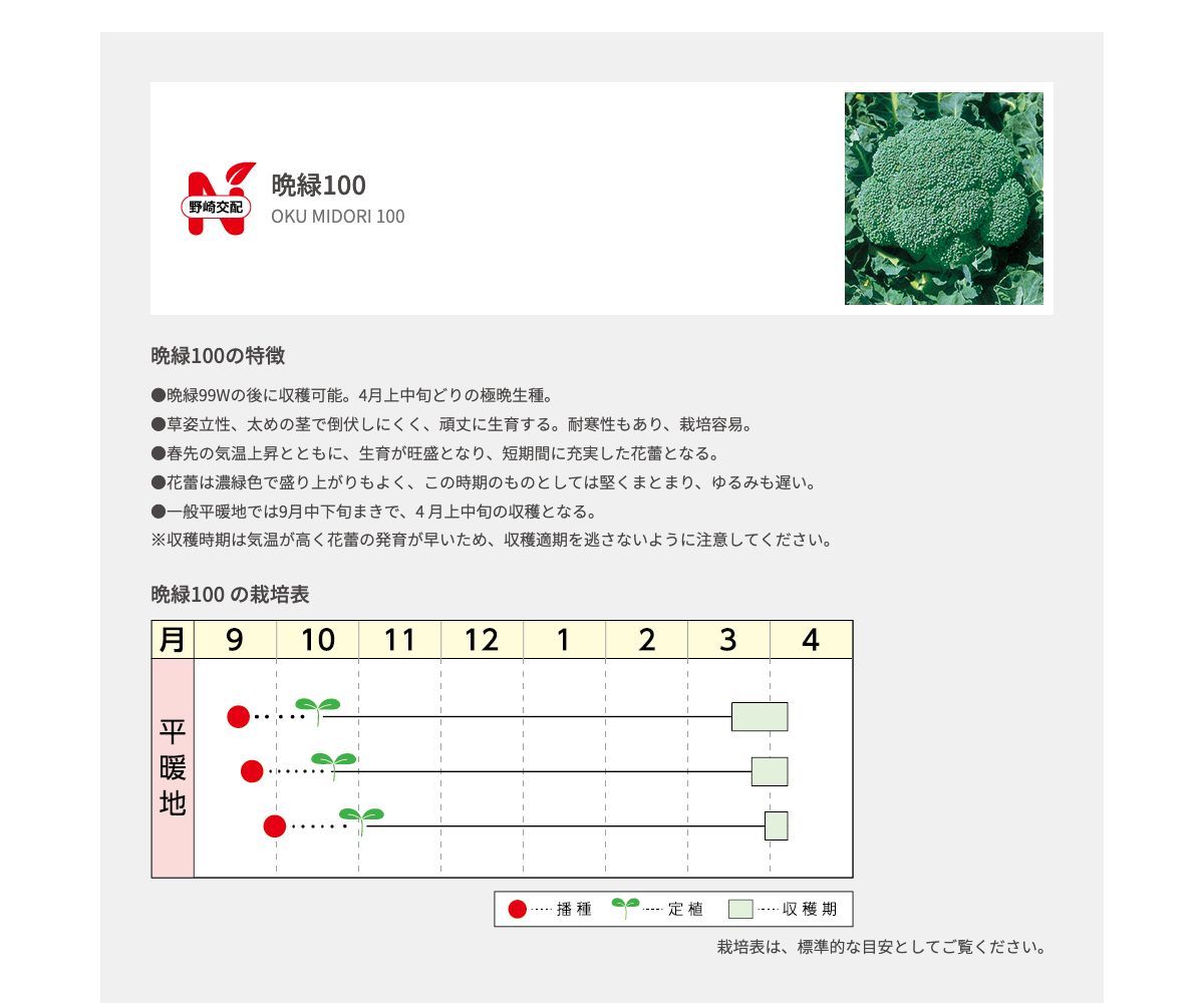 晩緑100