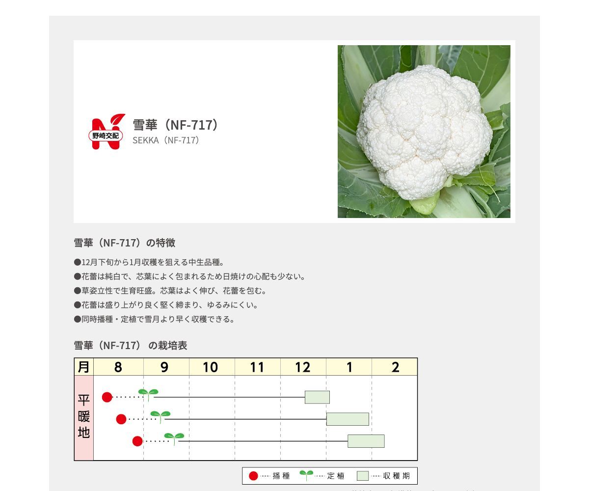 雪華(NF-717)