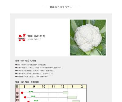 雪華（NF-717）の画像