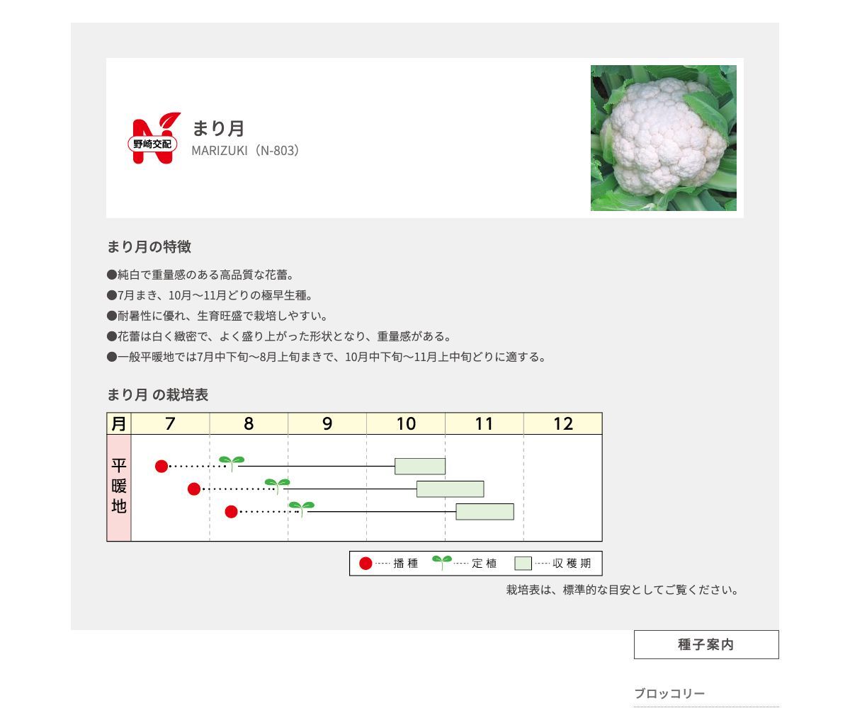 まり月