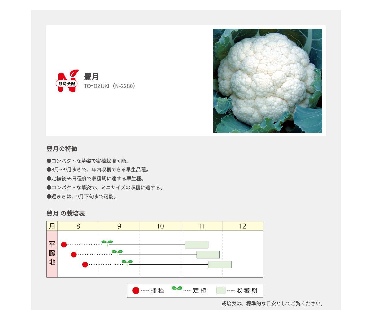 豊月