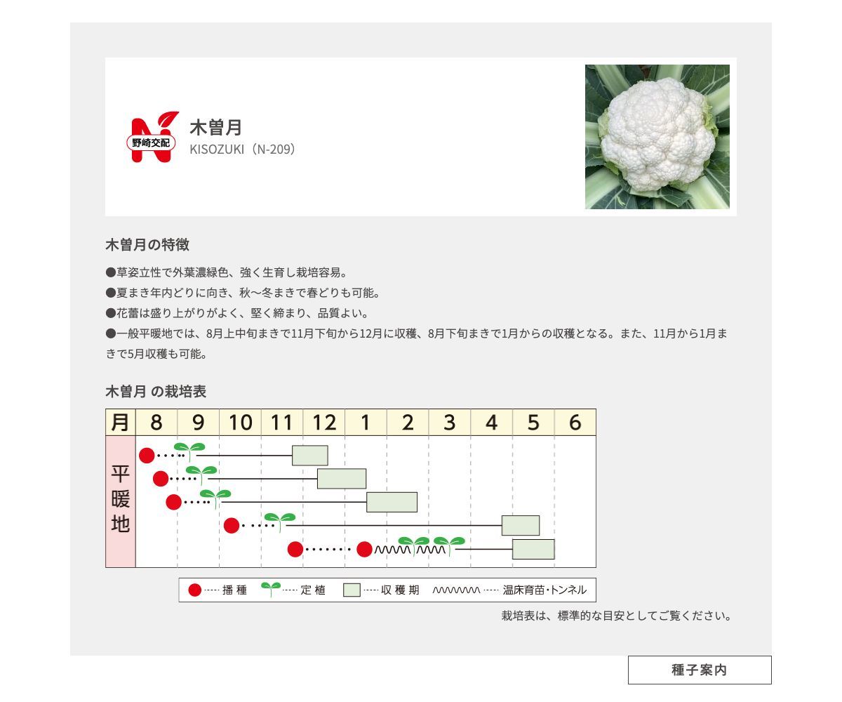 木曽月