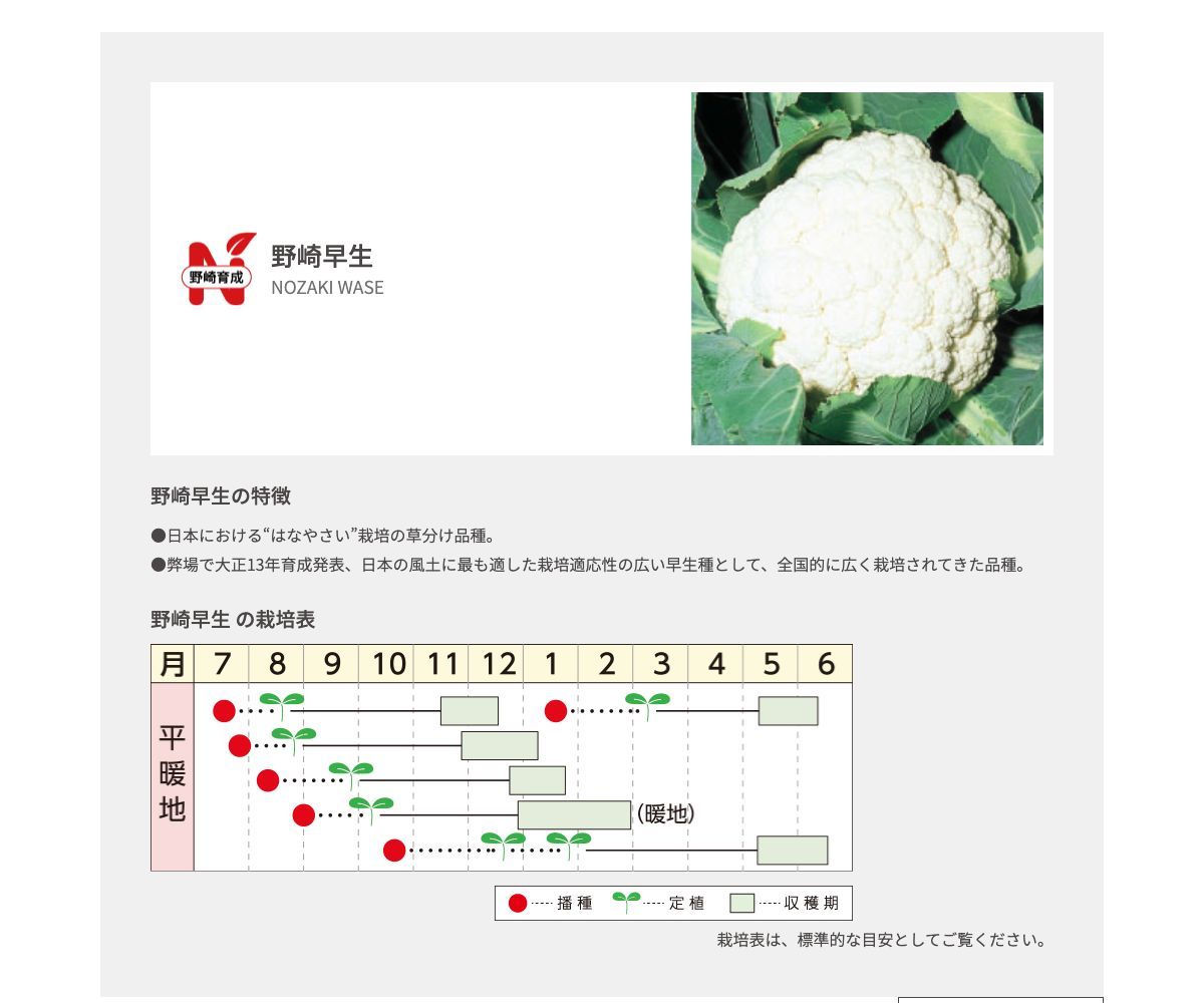 野崎早生