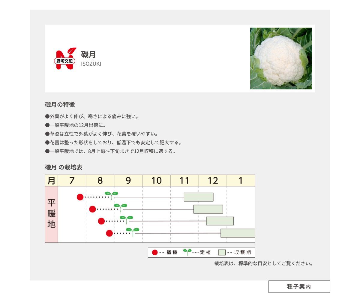磯月