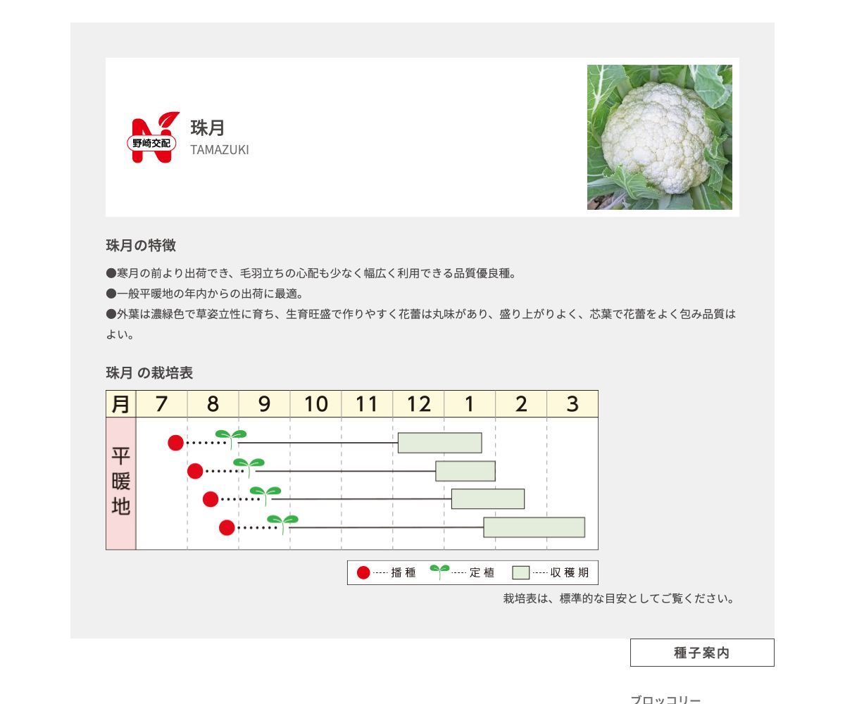 珠月