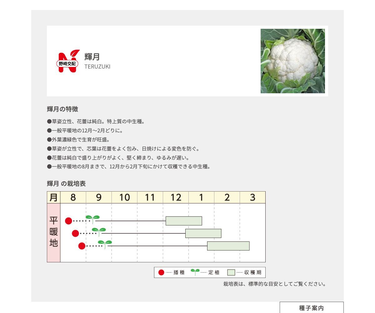 輝月