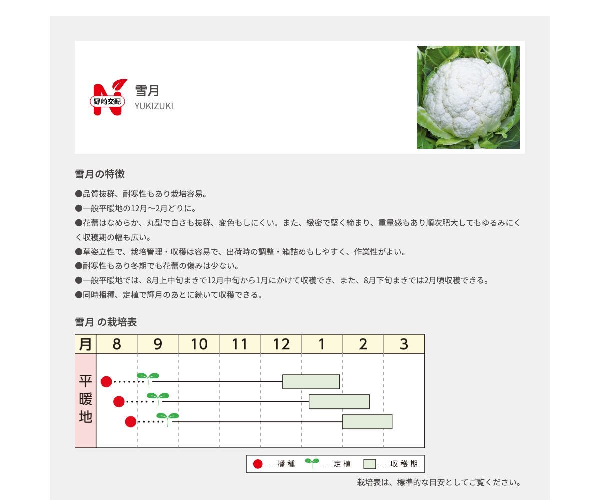 雪月