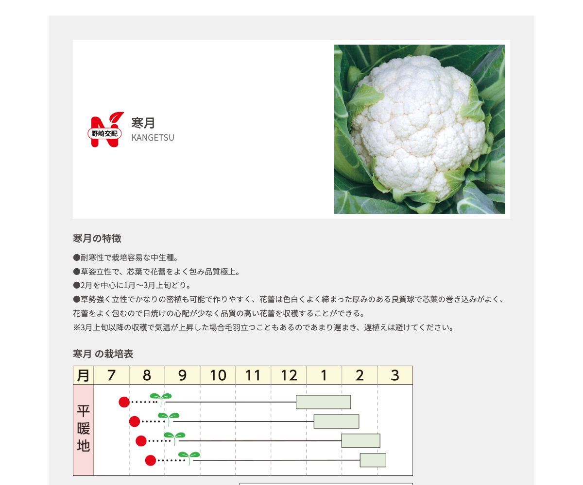 寒月