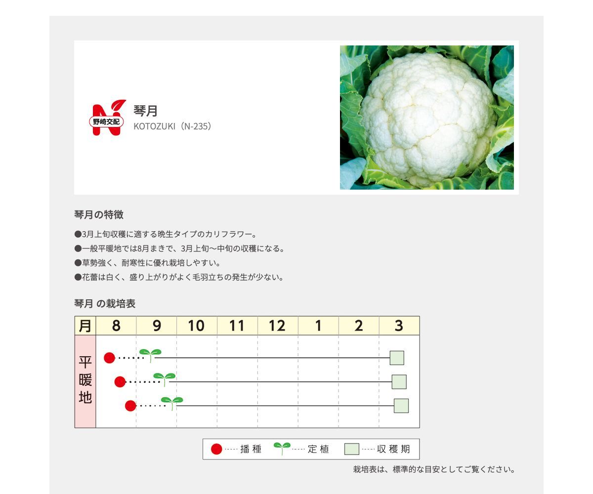 琴月