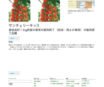 サンチェリーキッスの画像