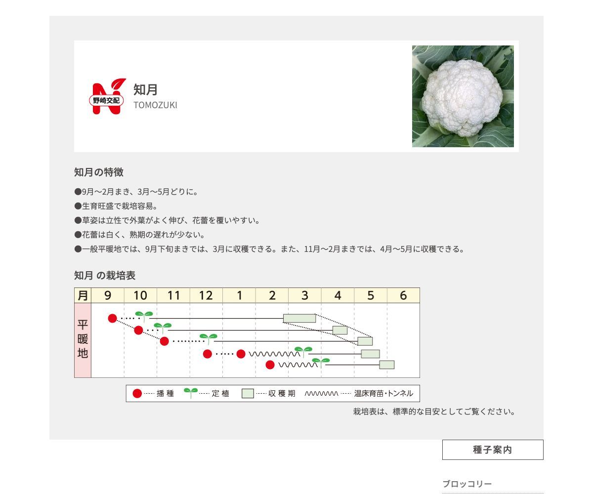 知月