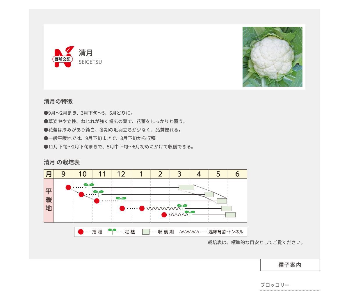 清月